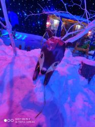 -圣名游乐城冰雪大世界