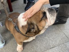 -哈尔滨师范大学(松北校区)