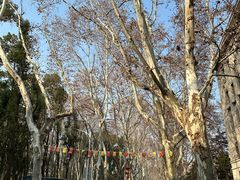 -华中科技大学光谷体育馆