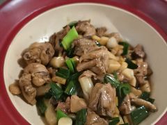 新疆大盘鸡-九毛九西北菜(百信广场店)