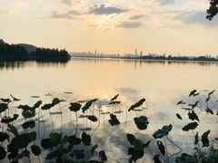 -东湖落雁景区