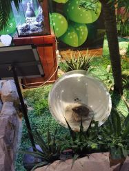 -酷嗒动物文化乐园(cutezoo西溪乐天城店)