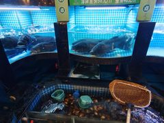 -千岛湖小鱼儿·淳安匠心农家菜