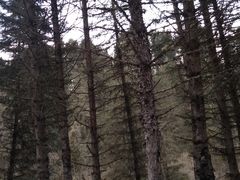 -硗碛藏寨·神木垒景区