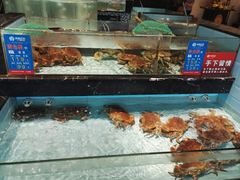 -尚海豆捞(乐虹坊店)