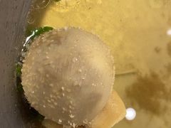-巴音浩日娲·蒙餐(双林东路店)