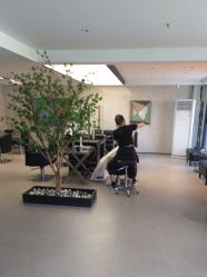 -付军剪艺JF ProSalon