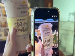 -猫的魔法密林(衣裳街店)