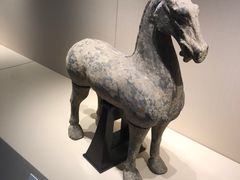 -旅顺博物馆