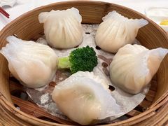 -金汇酒楼(中山东区店)