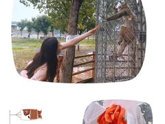 -北京鹿世界主题园