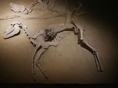 -洛阳周王城天子驾六博物馆