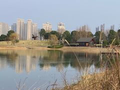 -洋湖国家湿地公园