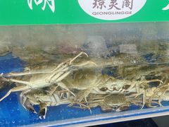 -阳澄湖大闸蟹·琼灵阁牌品牌连锁(吴中总店)