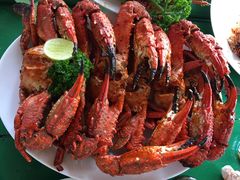 -Green Lobster Waskaduwa Seafood Restaurant