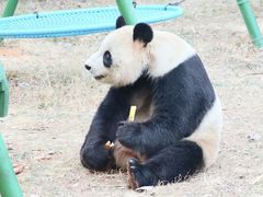 -杭州野生动物世界