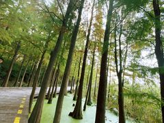 -云龙湖旅游景区