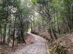 -广州市石门国家森林公园