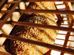 -南城十里潮汕鲜牛火锅·鲜虾生滚粥(融汇老商埠店)