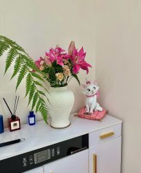 -WENDY·温迪皮肤管理