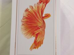 -Apple 零售店(Causeway Bay)