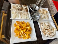 -蘑统田下·野生菌火锅