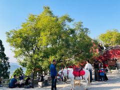 -青州市云门山风景区