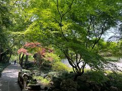 -杭州植物园