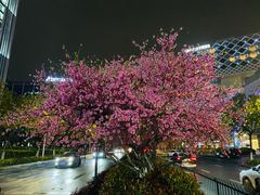 -宝龙城(杭州滨江店)