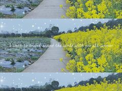 -紫颐香薰山谷景区