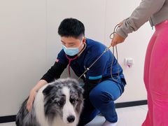-美联众合动物医院·24h京西诊疗中心