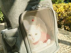 -北京赛佳动物医院