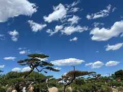 -罗红摄影艺术馆