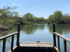 -溱湖国家湿地公园