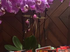 -泽云梵莲花足浴 按摩 SPA(滨湖店)