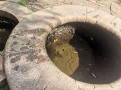 -竹泉村旅游度假区