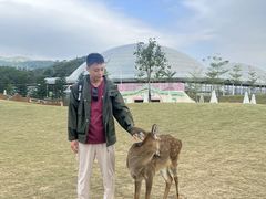 -盈香心动乐园