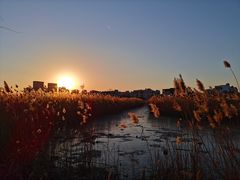 -天津东丽湖风景区
