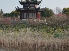 -上海海湾国家森林公园