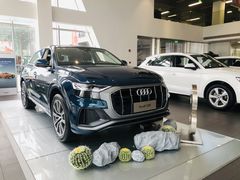 -上海冠松华奥奥迪4S店(张江店)