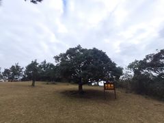 -天龙顶山地公园