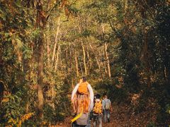 -南京市无想山景区