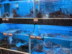 -金悦轩海鲜城(渔人码头店)