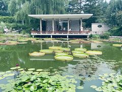 -国家植物园南园