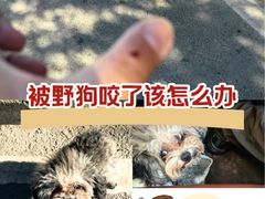 -华中科技大学同济医学院附属同济医院(汉口院区)