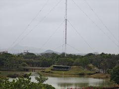 -福田红树林生态公园