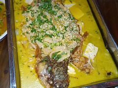 -金厨帽烤鱼(芦庄店)