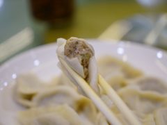 鲜肉饺子-东北四季饺子王(华山路店)