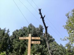 -金堂县云顶石城风景区