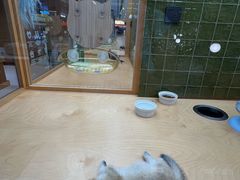 -帕帕拉兹宠物(亚洲旗舰店)